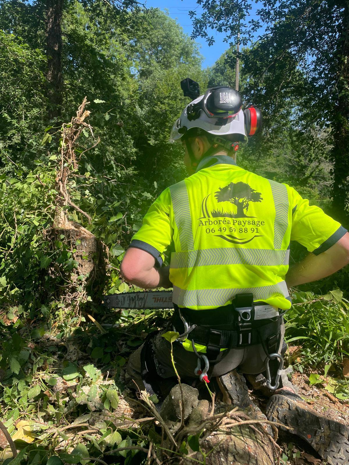 Arboréa Paysage élagage moderne